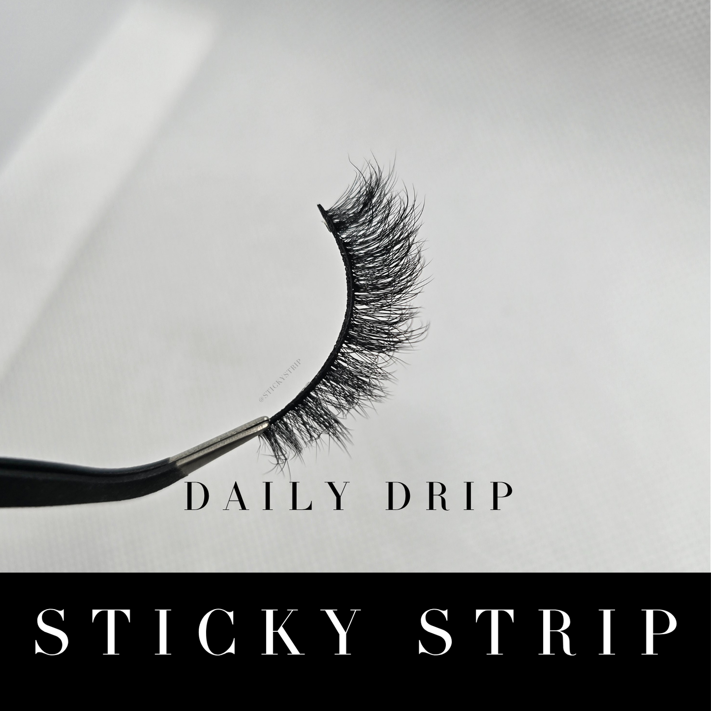 Daily Drip